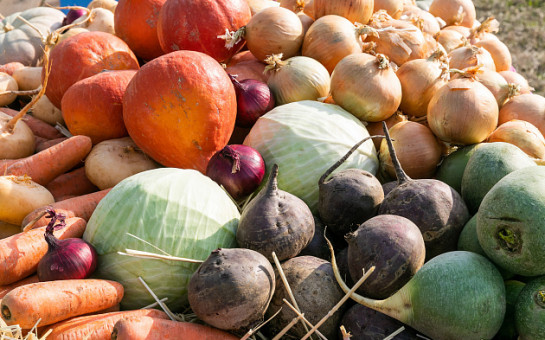 Объявлен отбор получателей субсидий по направлению господдержки: «Возмещение части затрат на поддержку производства овощей открытого грунта сельскохозяйственным товаропроизводителям... (2 отбор»)