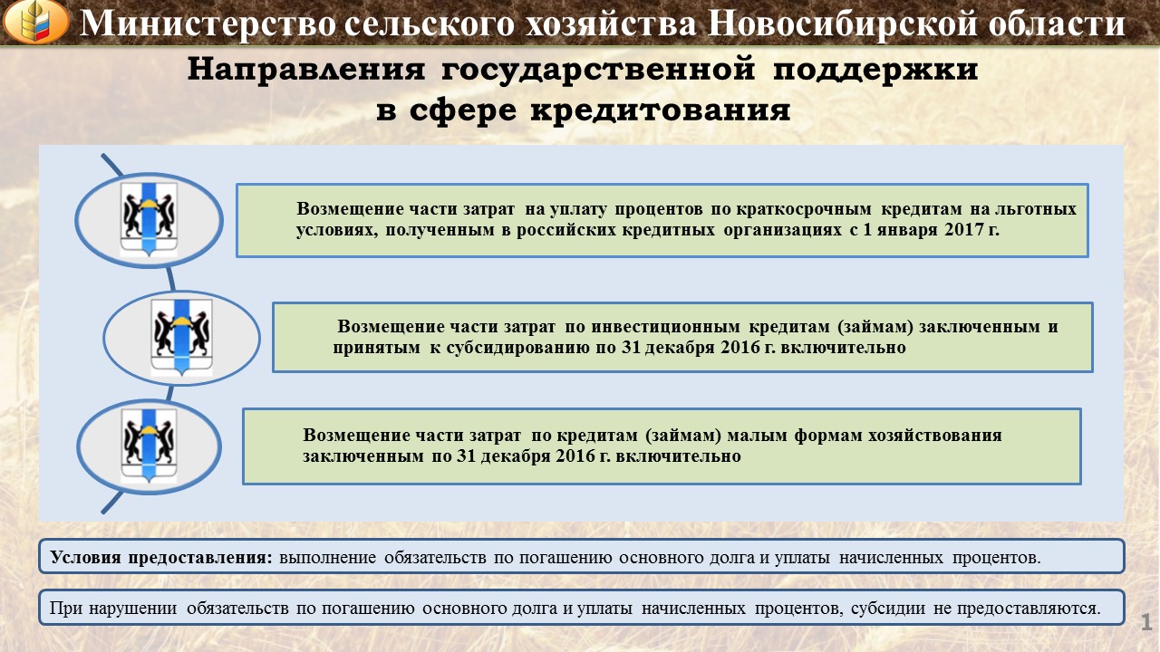 Направление государственной поддержки