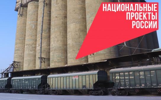 Сибирская электронная таможня запустила горячую линию по поддержке экспортеров